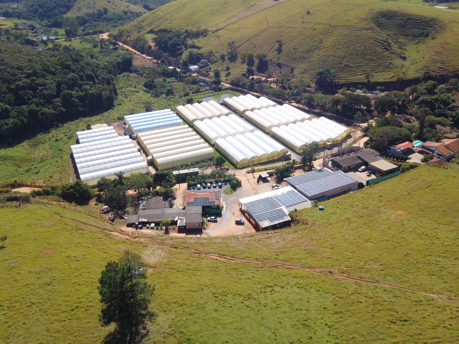 Vista aérea das estufas da Seal Hortifruti em Paty do Alferes